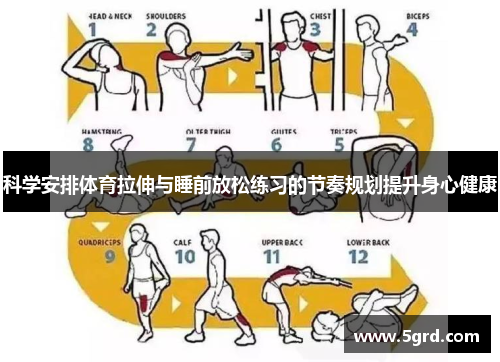 科学安排体育拉伸与睡前放松练习的节奏规划提升身心健康